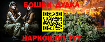 стафф Гай